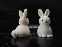 AMS | 0.2mm layer, 2 walls, 5% infill