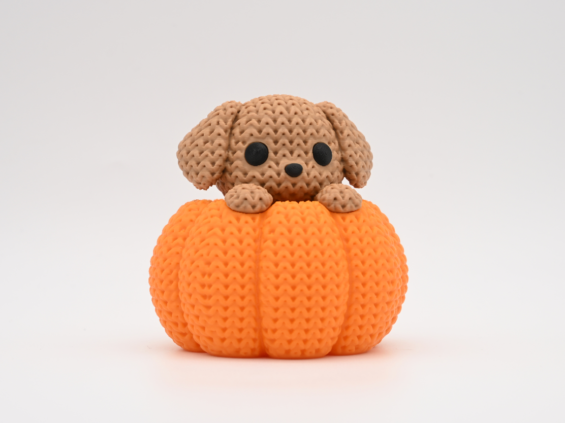 Knitted Dog in Pumpkin - Halloween - 1