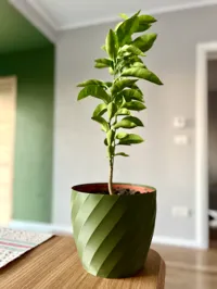 Vase polygonal — photo 2