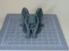 0.08mm layer, 2 walls, 5% infill