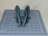 0.08mm layer, 2 walls, 5% infill