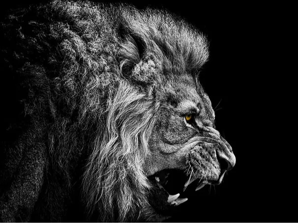 Lion HueForge