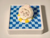 游泳圈
