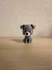 Cute Little Puppy - Multi Color