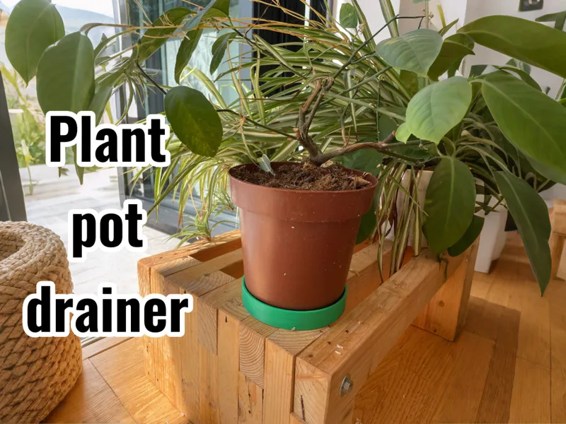 plant pot drainer