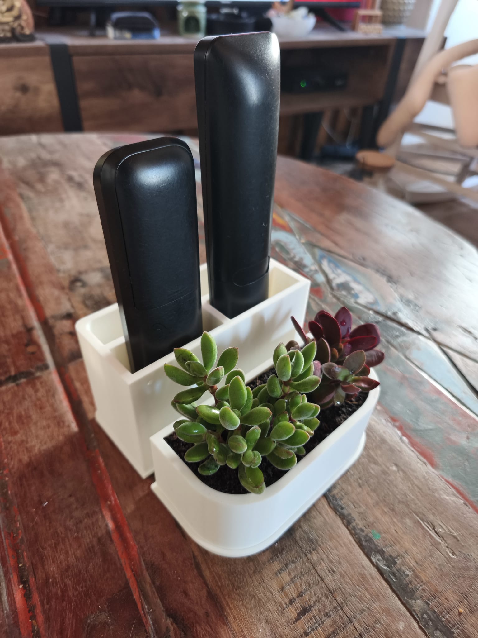 Remote Control Organizer With Vase image 3