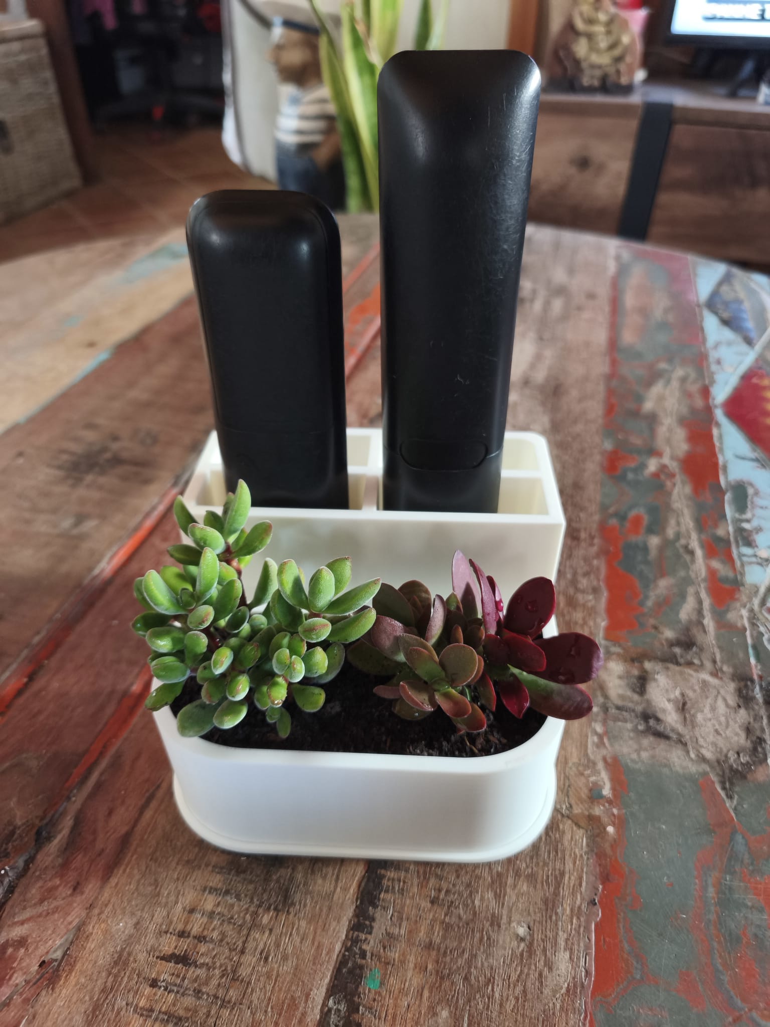 Remote Control Organizer With Vase image 2
