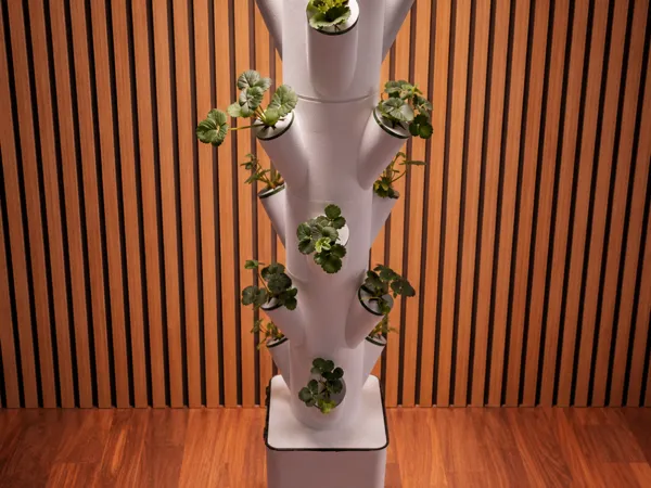 https://makerworld.bblmw.com/makerworld/model/USf49b18b7c55bb6/design/61d86ba59a824404.png