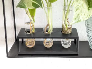 Industrial Style Plant Propagation Holder | 3