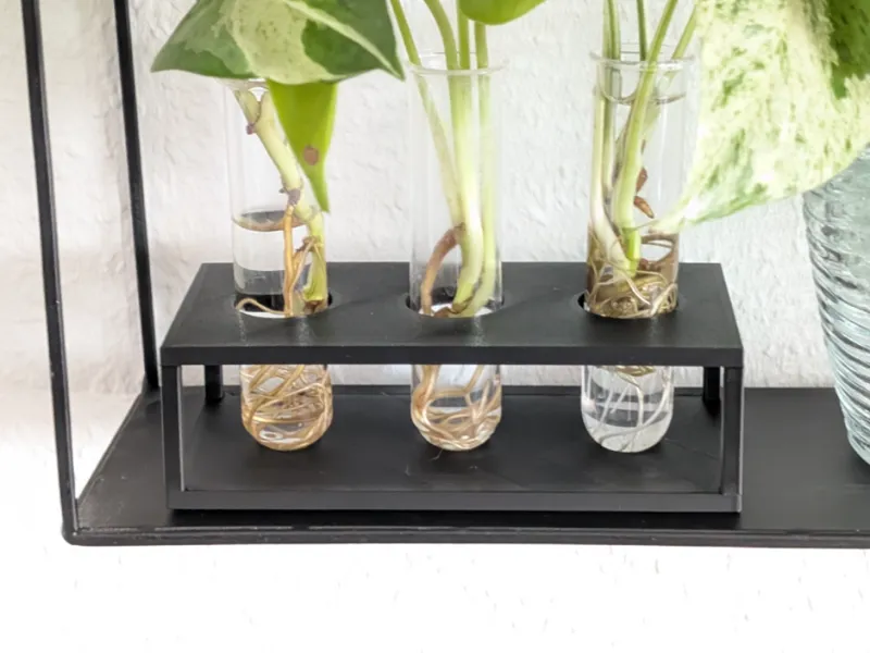 Industrial Style Plant Propagation Holder | 3