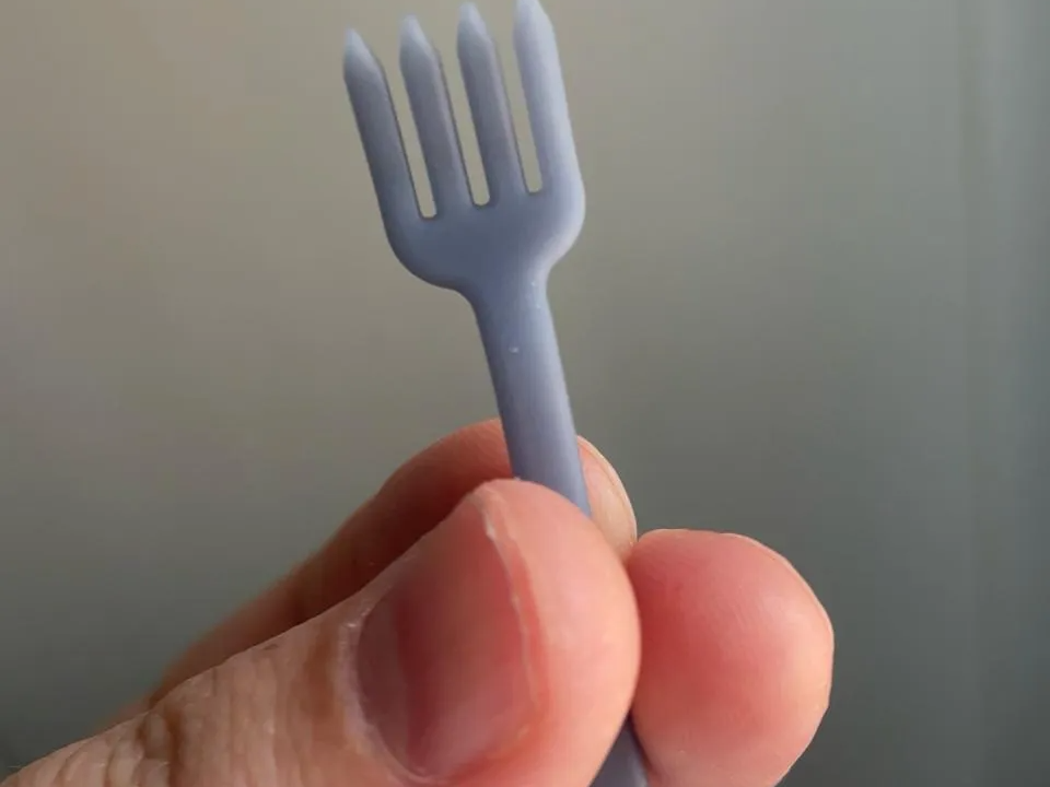Tiny Fork