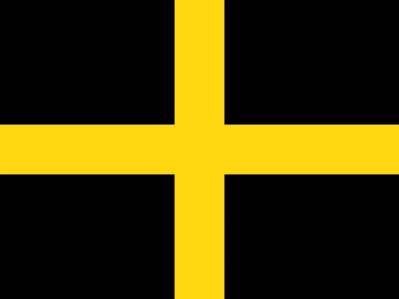 Flag of St David