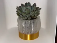 0.16mm layer, 2 walls, 8% infill
