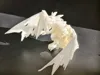 Monochrome wing with hole