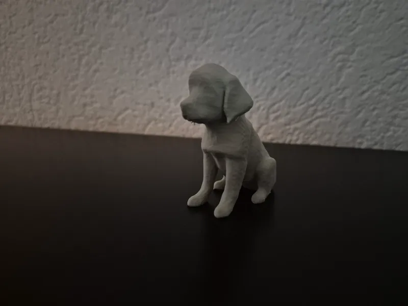 Hund 