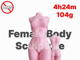 Female Body Sculpture