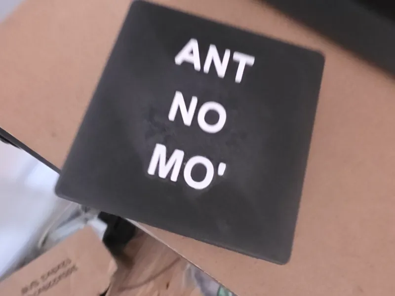 ANT NO MO' HOTEL