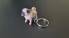 Pug Dog v1 0.2mm nozzle, 0.08mm layer, 4 walls, 15% infill