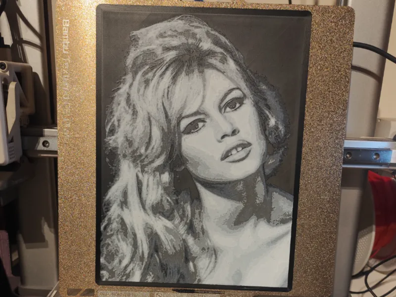 Hueforge Brigitte Bardot