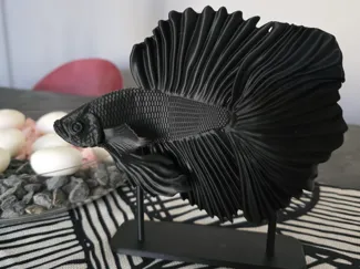 betta fish