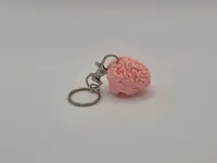 Brain figure / charm / keychain clip on the top
