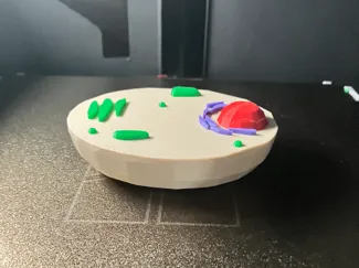 Cell Model