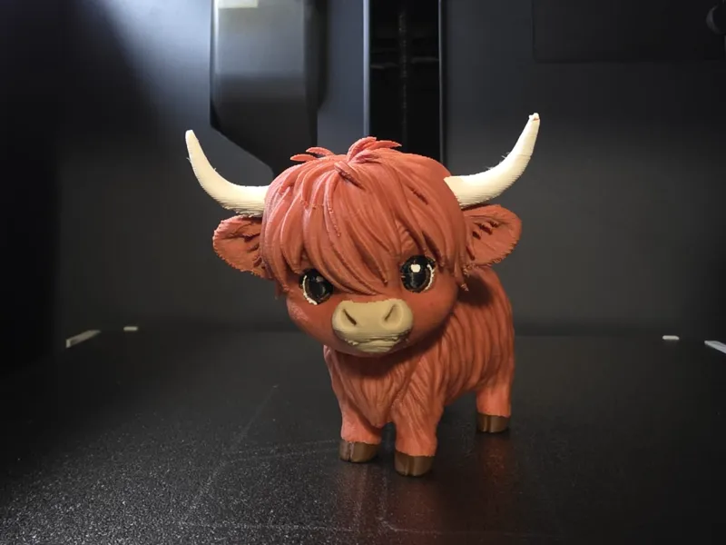 Highland Cow