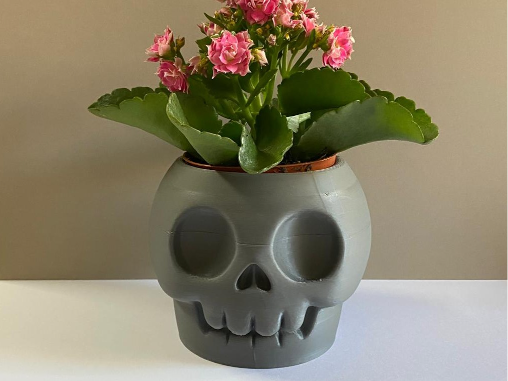 Skull bowl 3D model