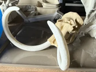 Mammoth Skull AMS