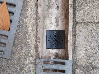 Drain grate