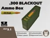Gen3.1 - 300 BLK - 20 Rnd