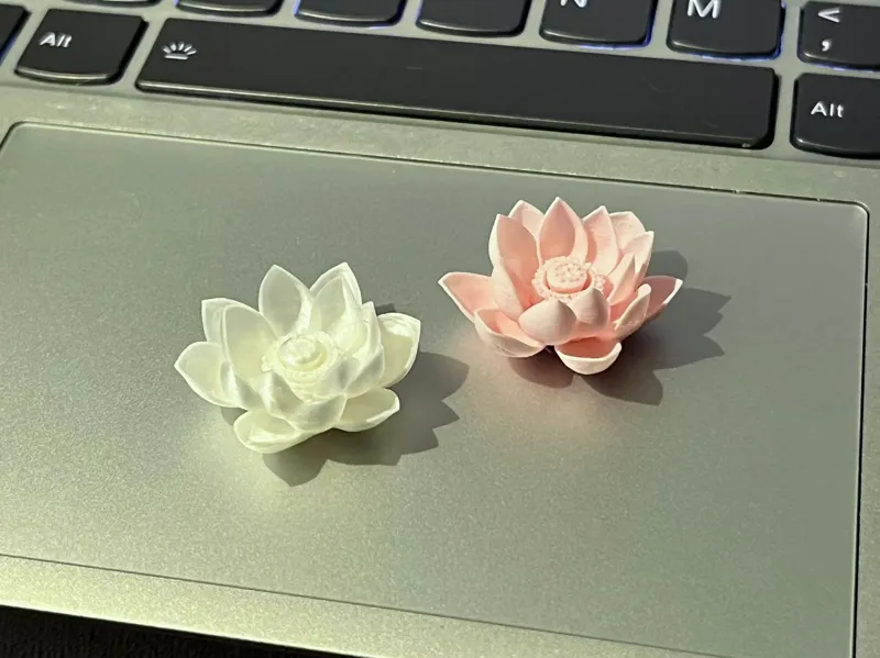 迷你荷花 再缩小也不破边