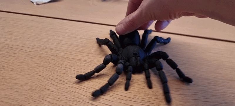 Articulated flexi tarantula