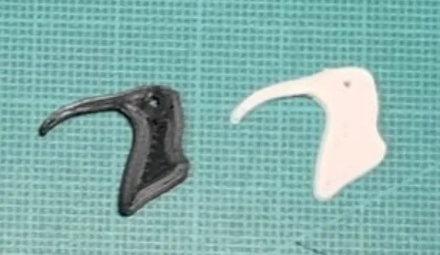 鳥頭