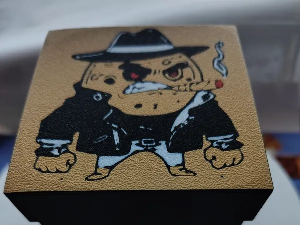 https://makerworld.bblmw.com/makerworld/model/USf4f8718927c6aa/design/2025-02-06_fe0cc5fb9a0d58.jpg