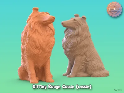 Sitting Rough Collie