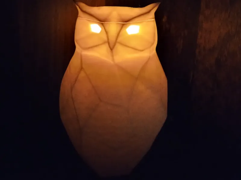 Glowing Owl