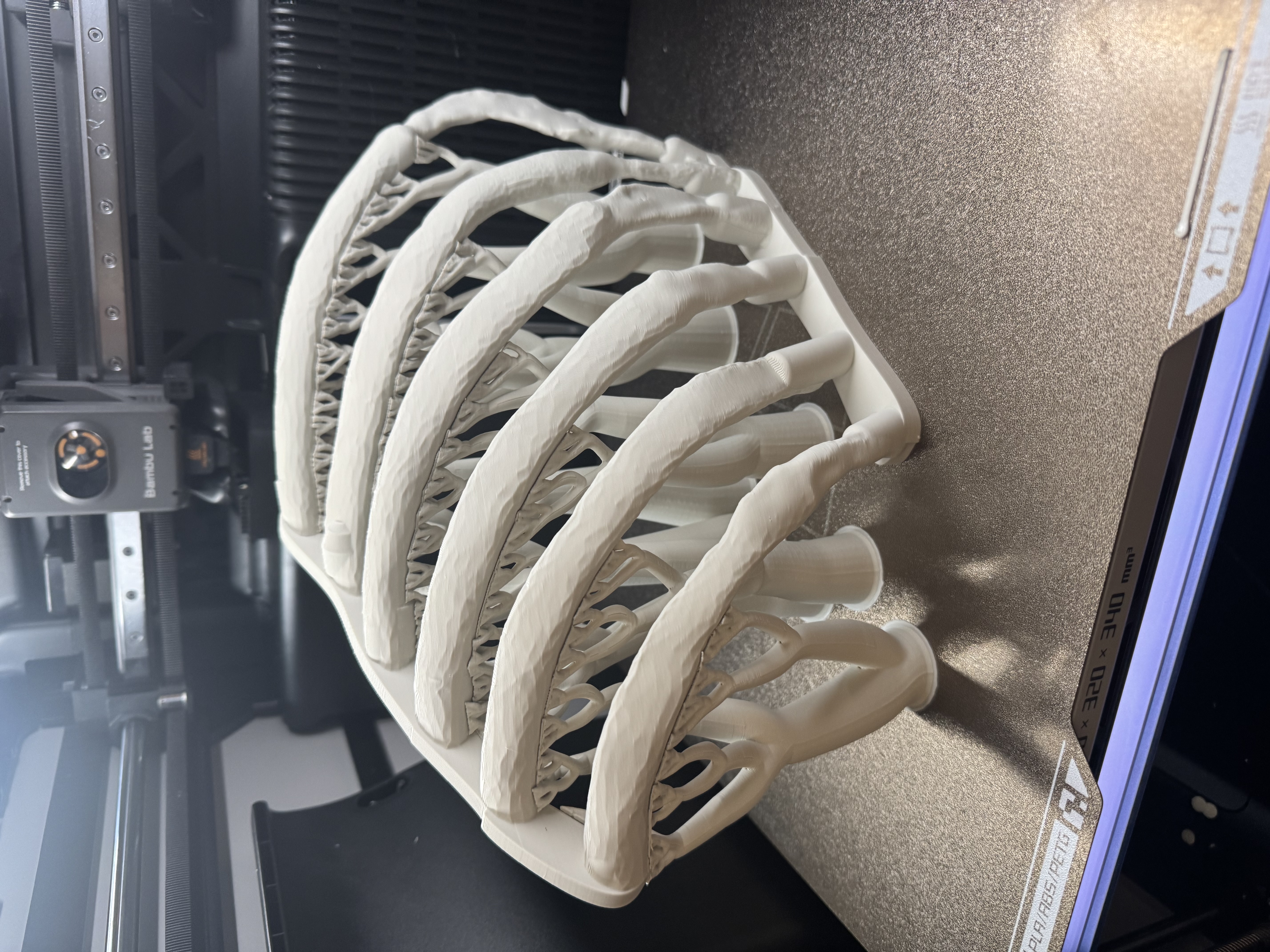 H2S Single Plate Print
