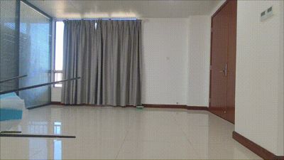 Net Launcher