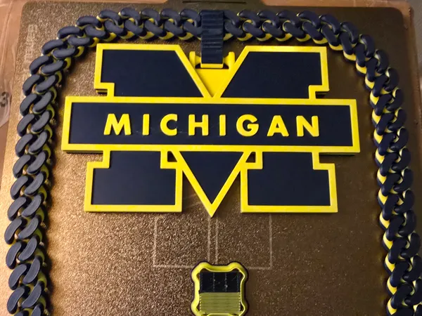 https://makerworld.bblmw.com/makerworld/model/USf502430dcbf471/design/2025-12-31_96fc43b12d7838.jpg