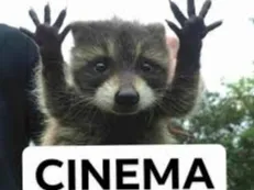 flaxy cinama racoon