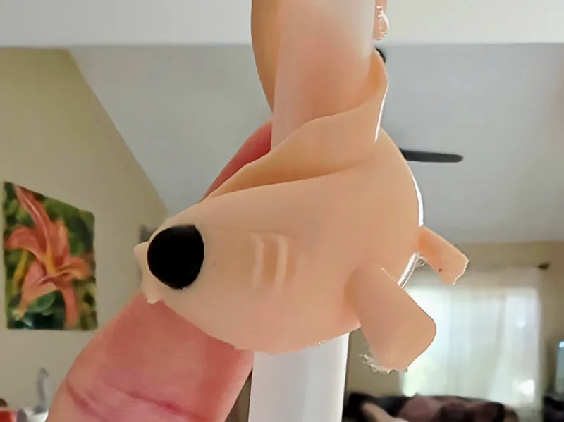 Koi Fish Hugger- Straw, Stethoscope, Marker & More