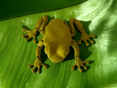 FLEXI FROG