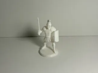 Roman Warrior
