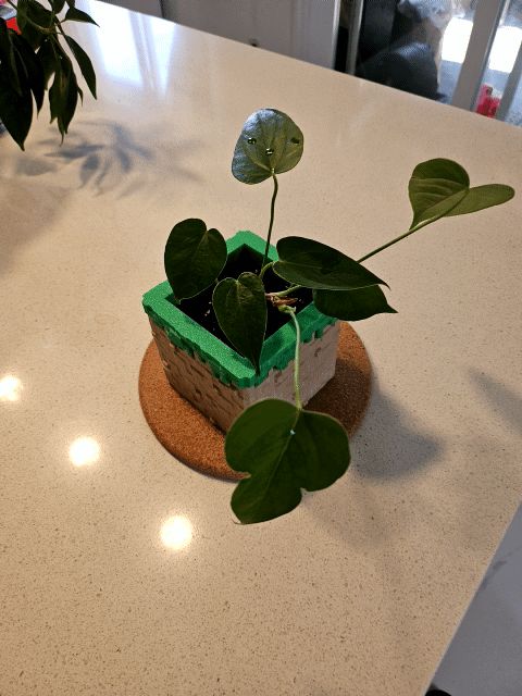 https://makerworld.bblmw.com/makerworld/model/USf50b6e9be2771/design/2024-06-28_38b174c7a8fe3.gif