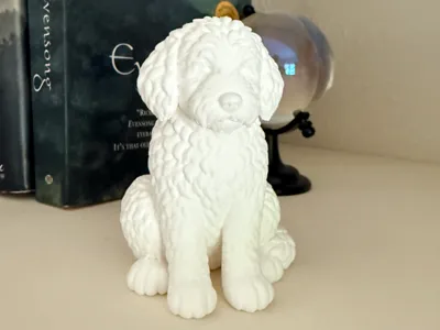 Bernedoodle Puppy – Pet Series