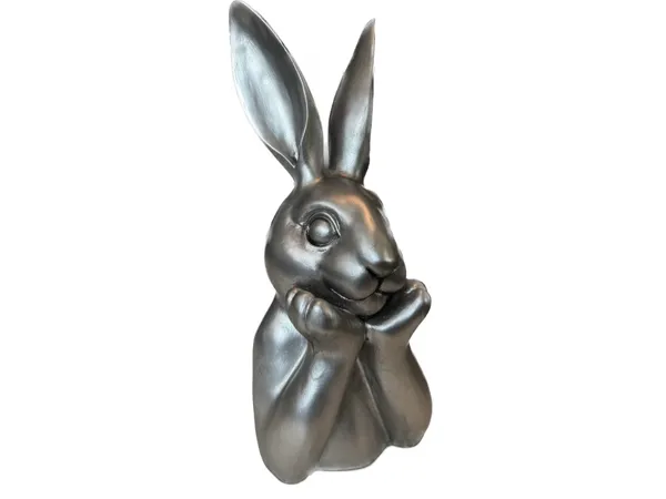 https://makerworld.bblmw.com/makerworld/model/USf50c3d89c42f29/design/2026-01-20_cc2b30944244a8.jpeg
