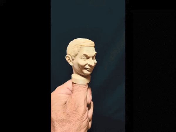 https://makerworld.bblmw.com/makerworld/model/USf5180cfa52d984/design/2024-07-12_70ce87e443f67.gif