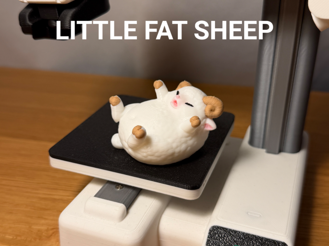 Little Fat Sheep / Ram