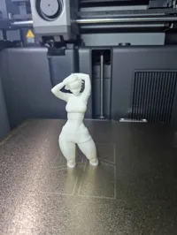 0.12mm layer, 2 walls, 15% infill